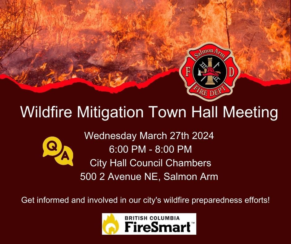 2024 Wildfire Mitigation Town Hall Meeting (2)