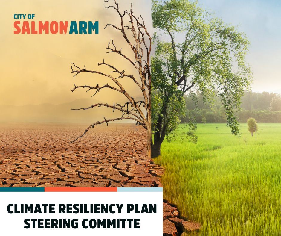 2025 CLIMATE RESILIENCY PLAN STEERING COMMITTE