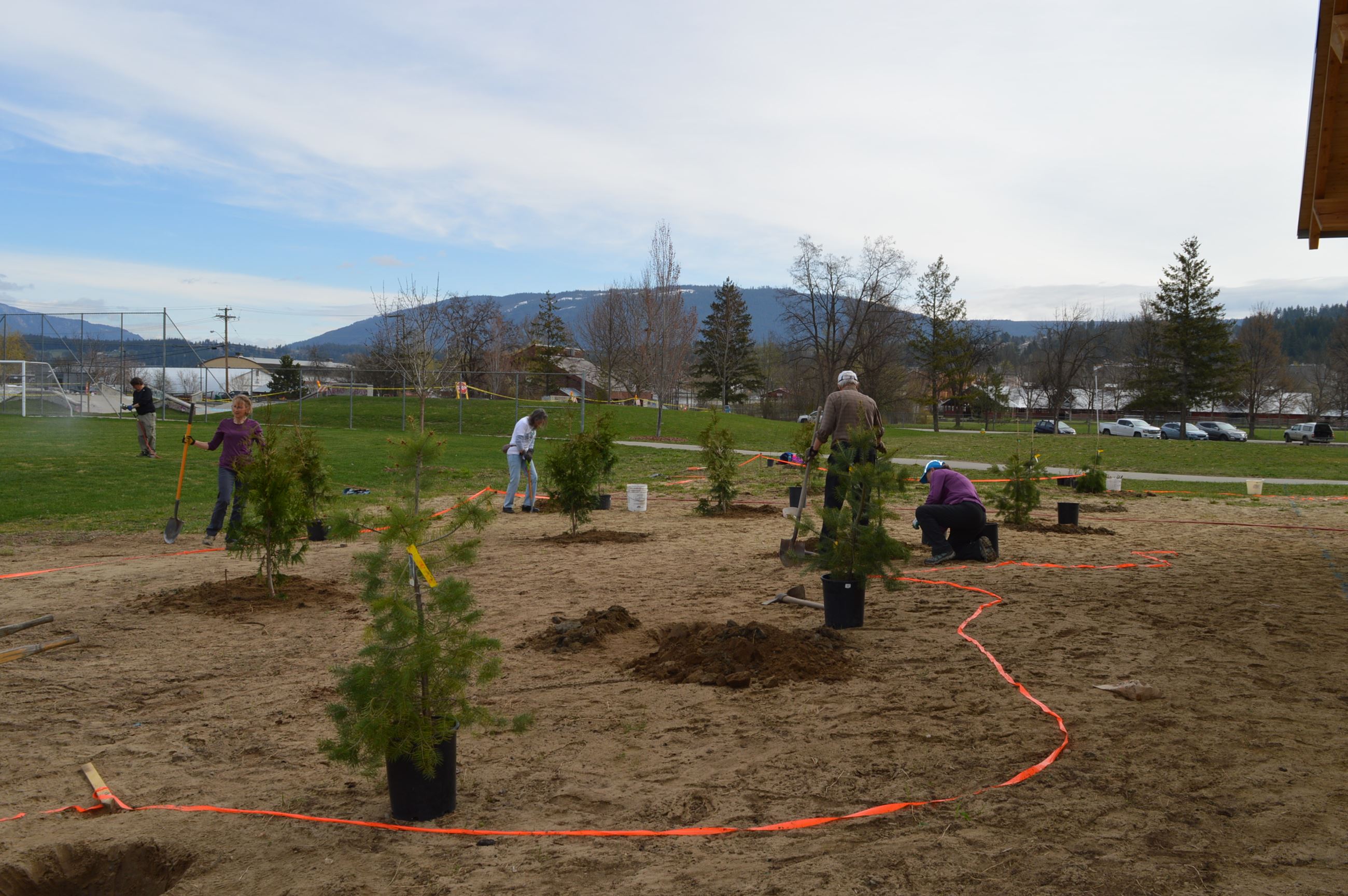 Tree Planting 1